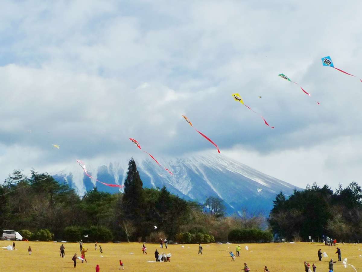 たこと富士山に願いをのせて。朝霧高原のたこ揚げイベント「たこたこあがれ in 富士山」 | 富士宮やきそば＆フードバレー公式ガイド