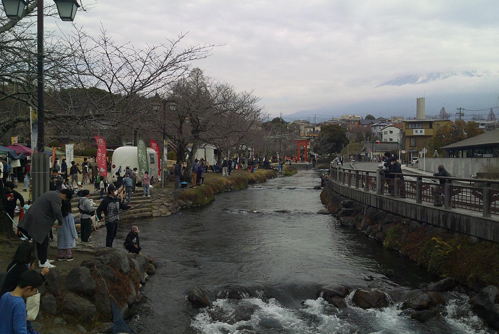 神田川でのますつり