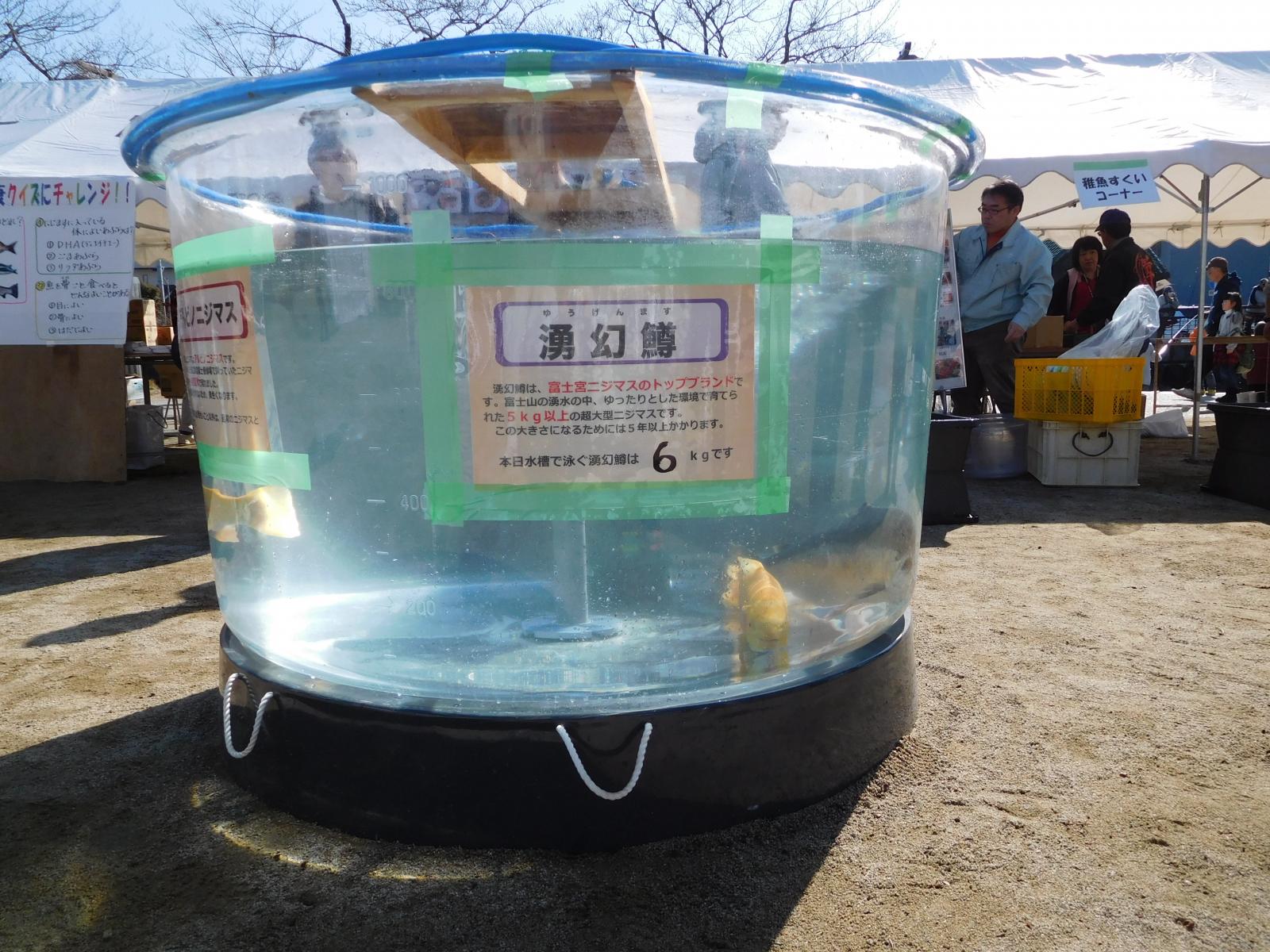 にじますの展示の様子